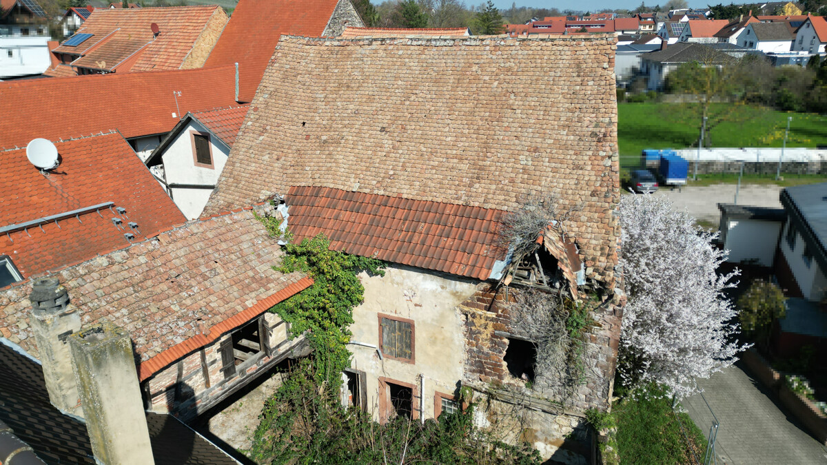 Sanierung oder Neubau /// 533 m² Grundstück mit Altbestand und gigantischer Scheune – Grünstadt / Asselheim – Vorschaubild 7