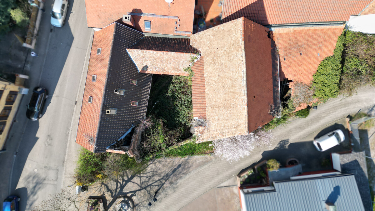 Sanierung oder Neubau /// 533 m² Grundstück mit Altbestand und gigantischer Scheune – Grünstadt / Asselheim – Vorschaubild 8