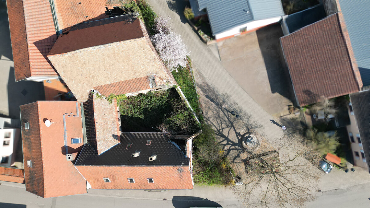Sanierung oder Neubau /// 533 m² Grundstück mit Altbestand und gigantischer Scheune – Grünstadt / Asselheim – Vorschaubild 9