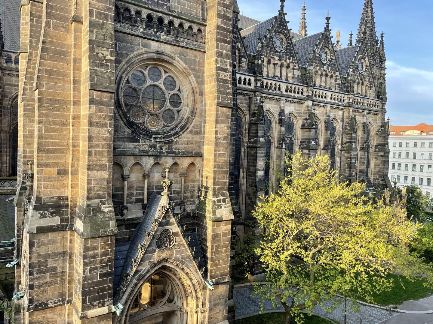 Property thumbnail 11