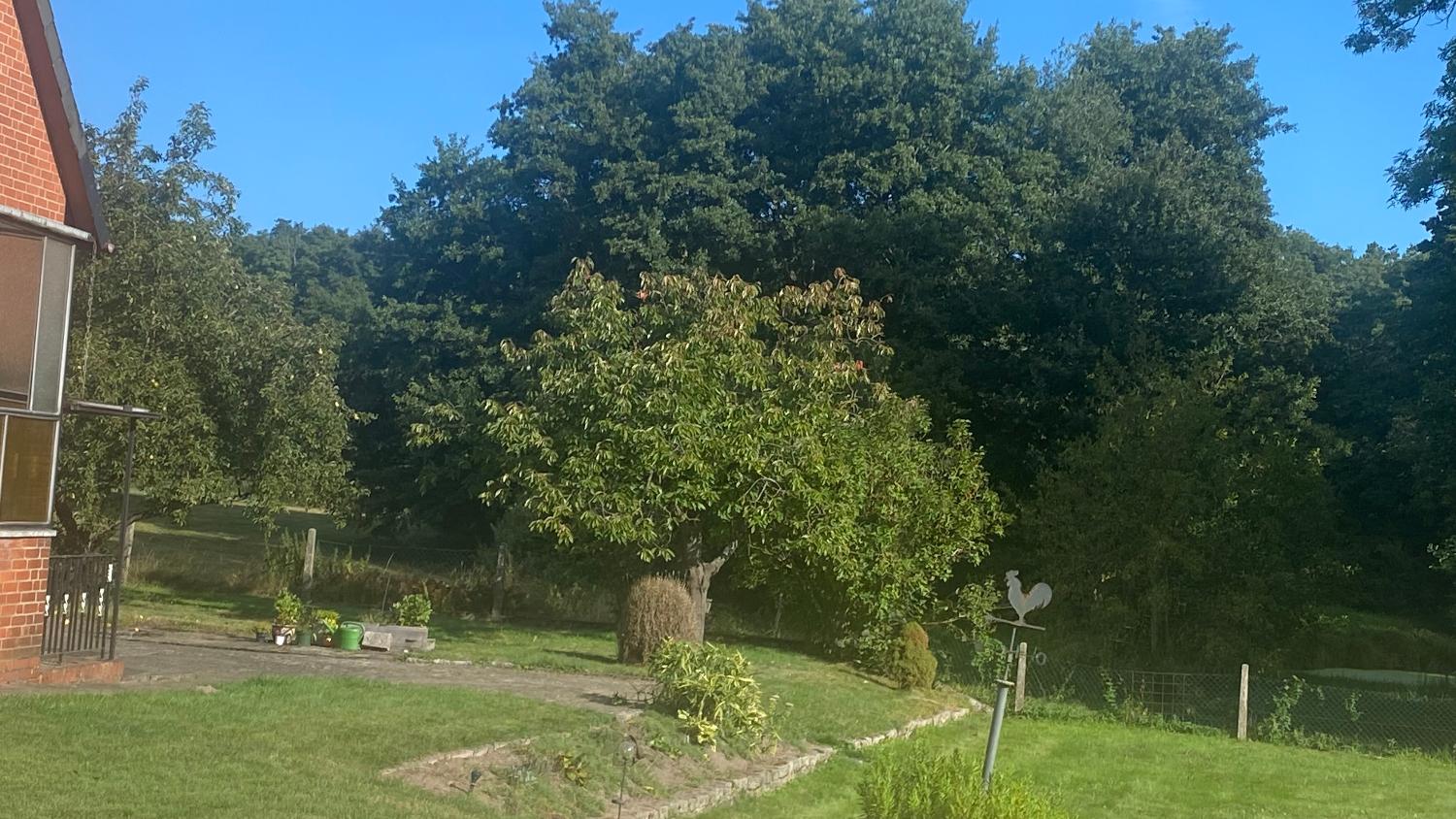 Zweifamilienhaus im Wendland – Bergen Dumme – Vorschaubild 6