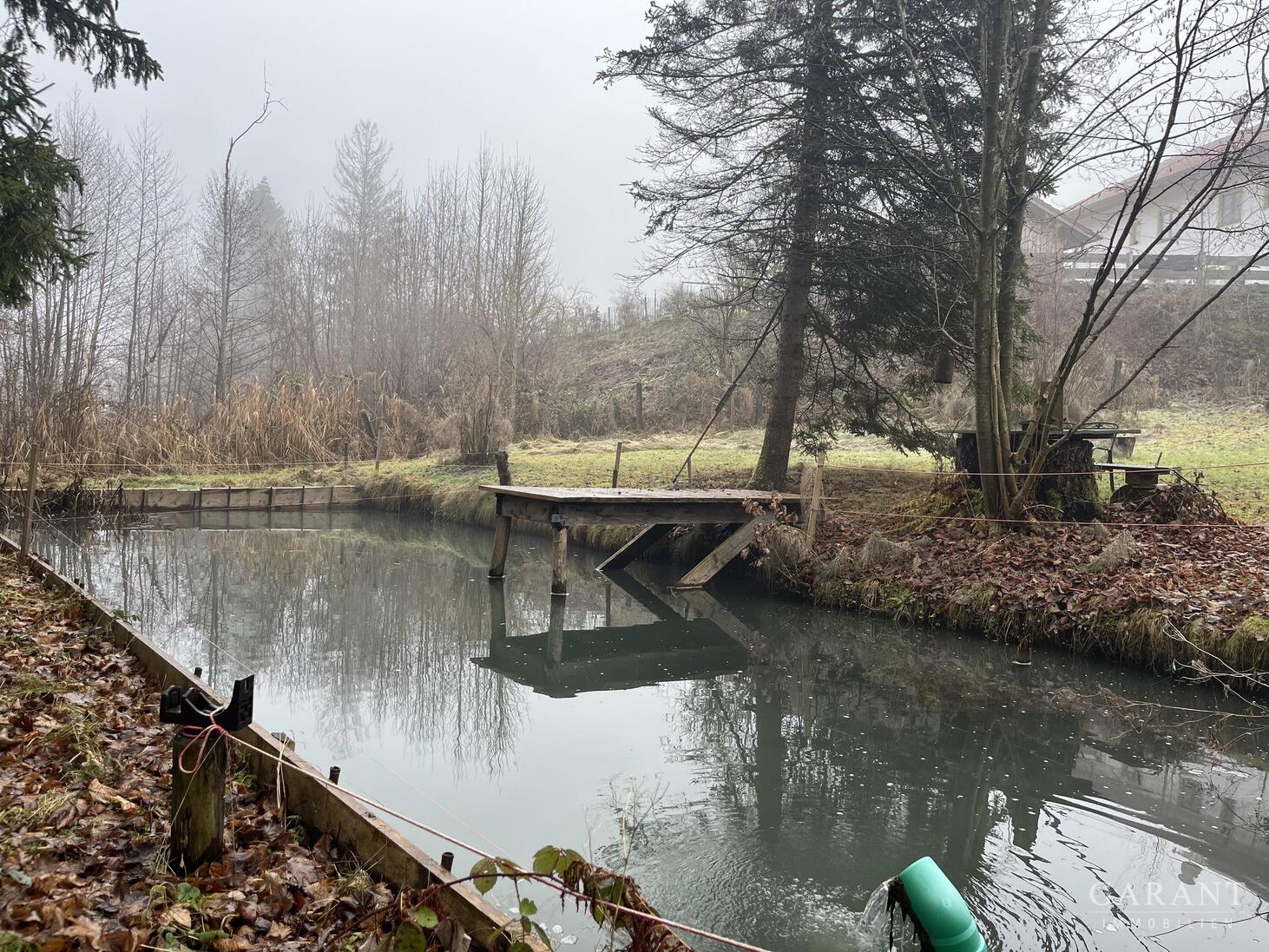 Naturrefugium in Großweil - Doppelhaushälfte mit großem Garten, Fischweiher & Bachlauf – Großweil – Vorschaubild 9