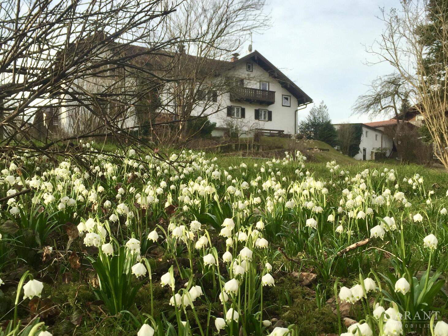 Naturrefugium in Großweil - Doppelhaushälfte mit großem Garten, Fischweiher & Bachlauf – Großweil – Vorschaubild 13