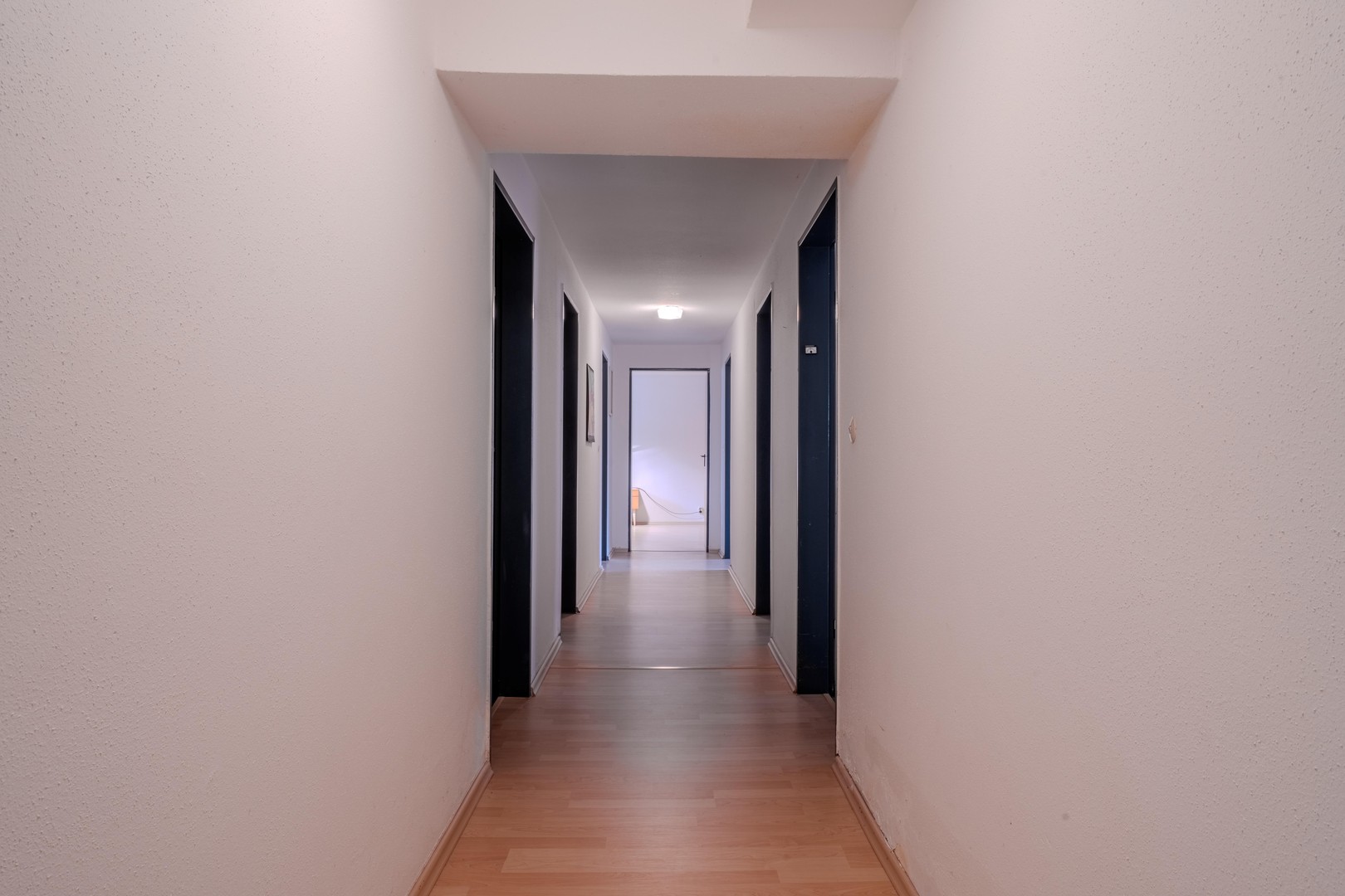 Großzügiger, heller, energetisch sanierter Bungalow in bester Wohnlage von Darmstadt – Darmstadt – Vorschaubild 15