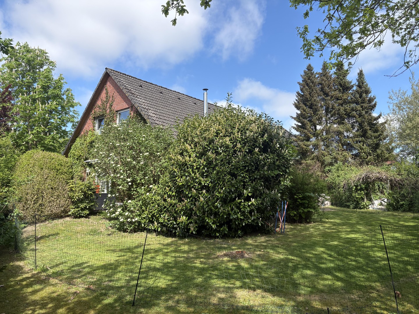EFH in Wentorf Amt Sandesneben – Wentorf – Vorschaubild 5