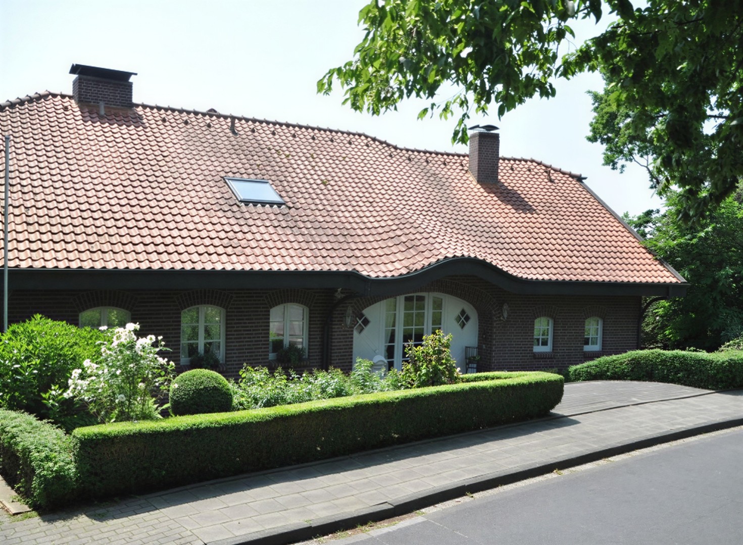 bg