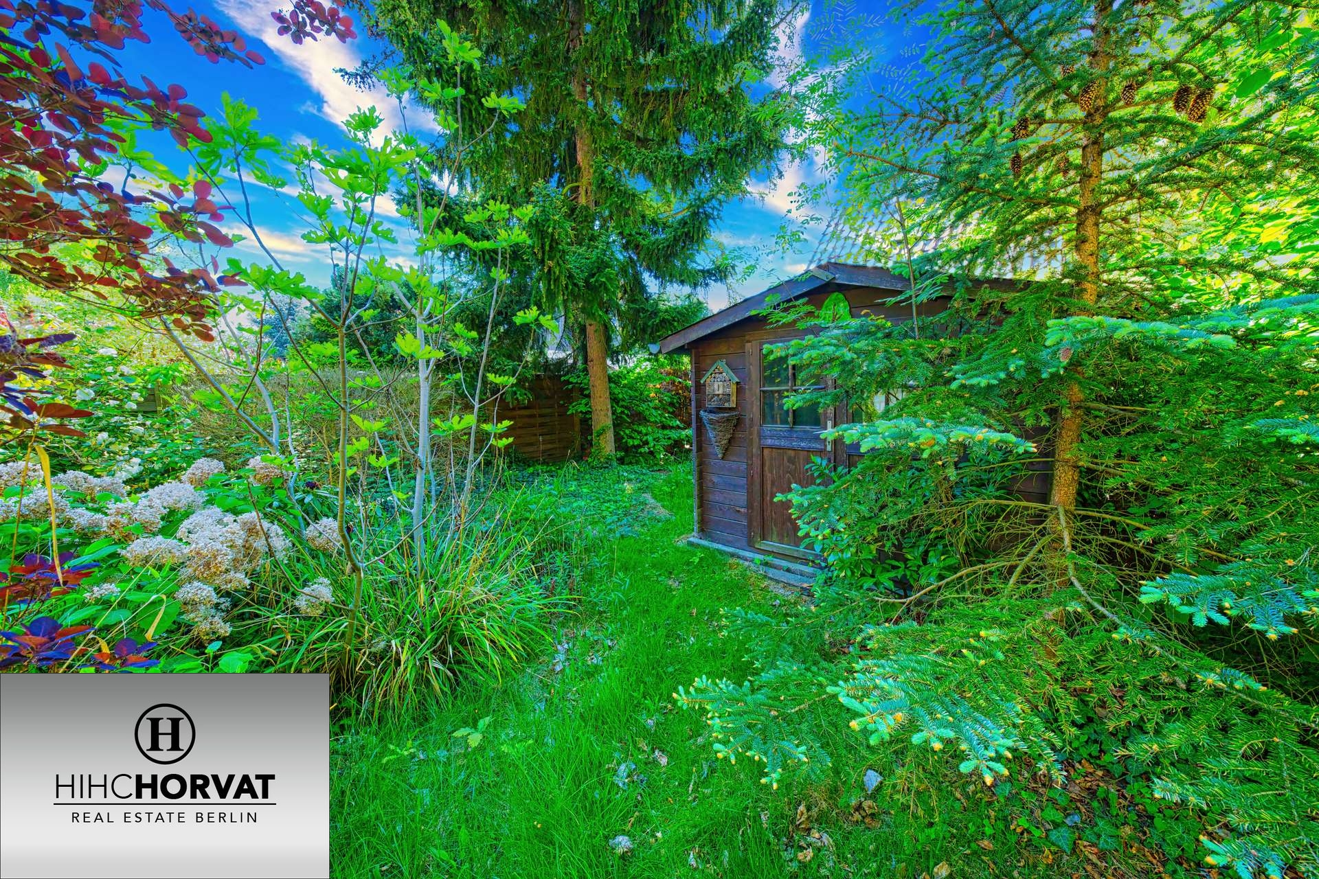 Property thumbnail 6