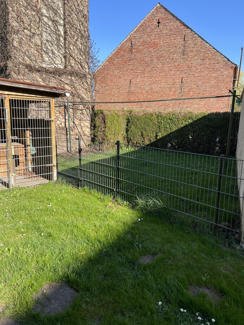Altes Schulhaus Wussentin – Medow – Vorschaubild 29