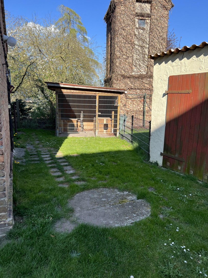Altes Schulhaus Wussentin – Medow – Vorschaubild 32