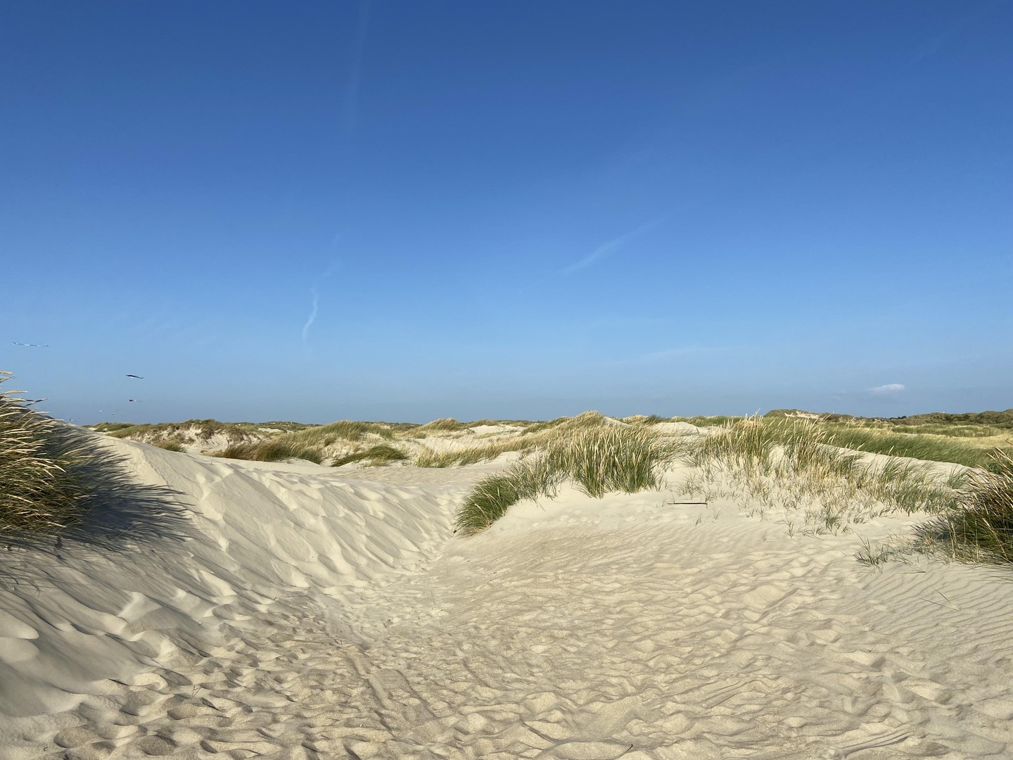 Exklusiv wohnen - ideales Feriendomizil vor Sylt und Dänemark! – Humptrup – Vorschaubild 45