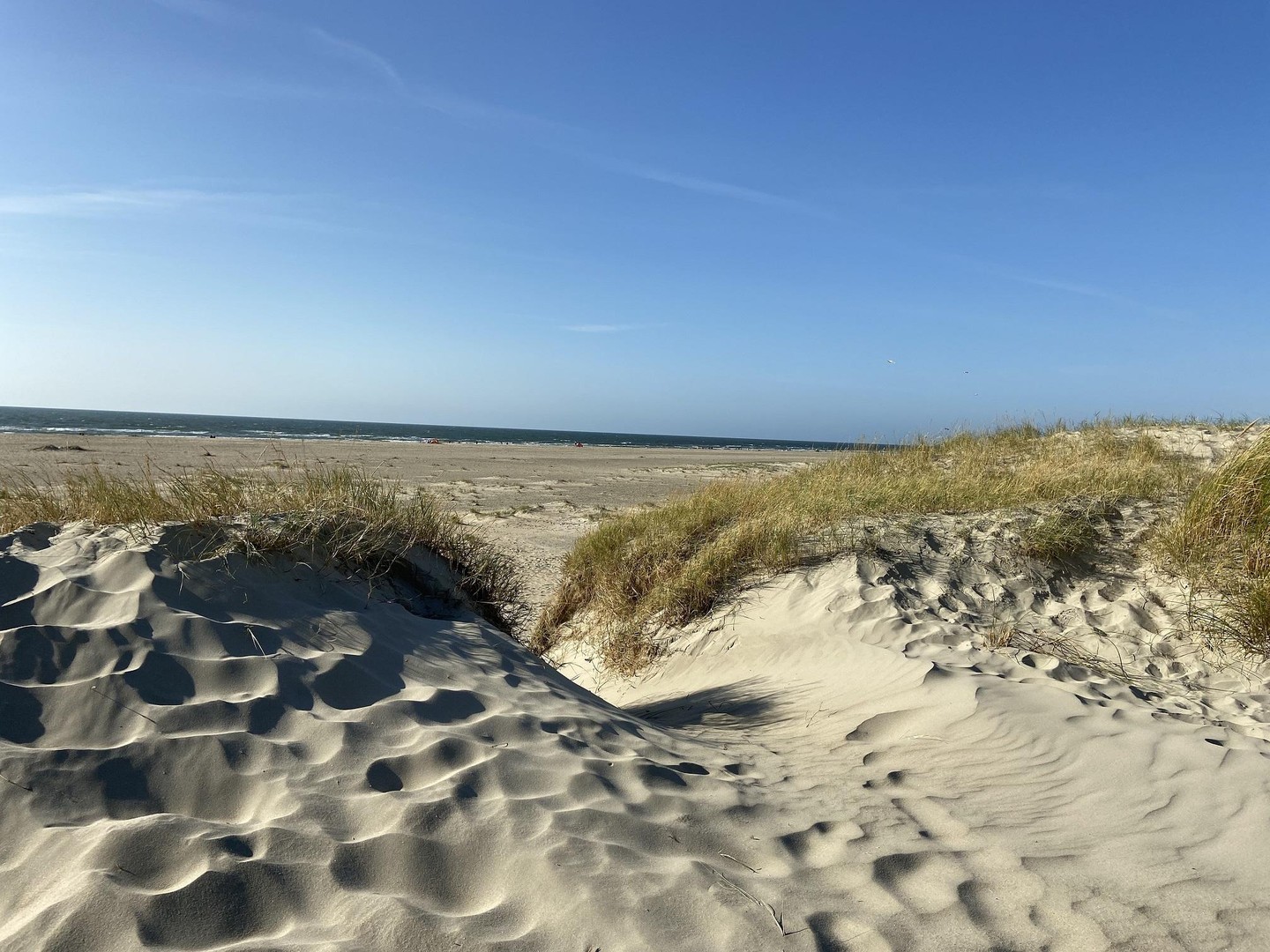 Exklusiv wohnen - ideales Feriendomizil vor Sylt und Dänemark! – Humptrup – Vorschaubild 46