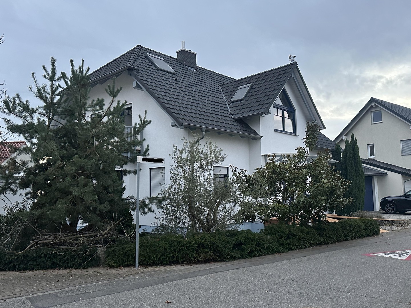 bg