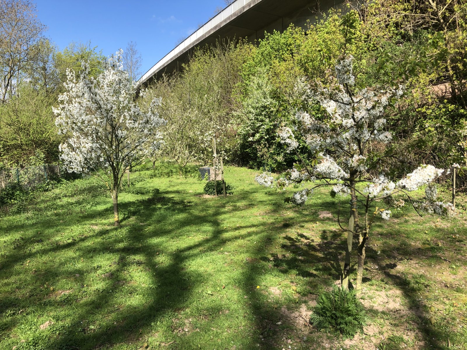 Erfüllen Sie sich den Traum vom Eigenheim in Bodenwerder! – Bodenwerder – Vorschaubild 8