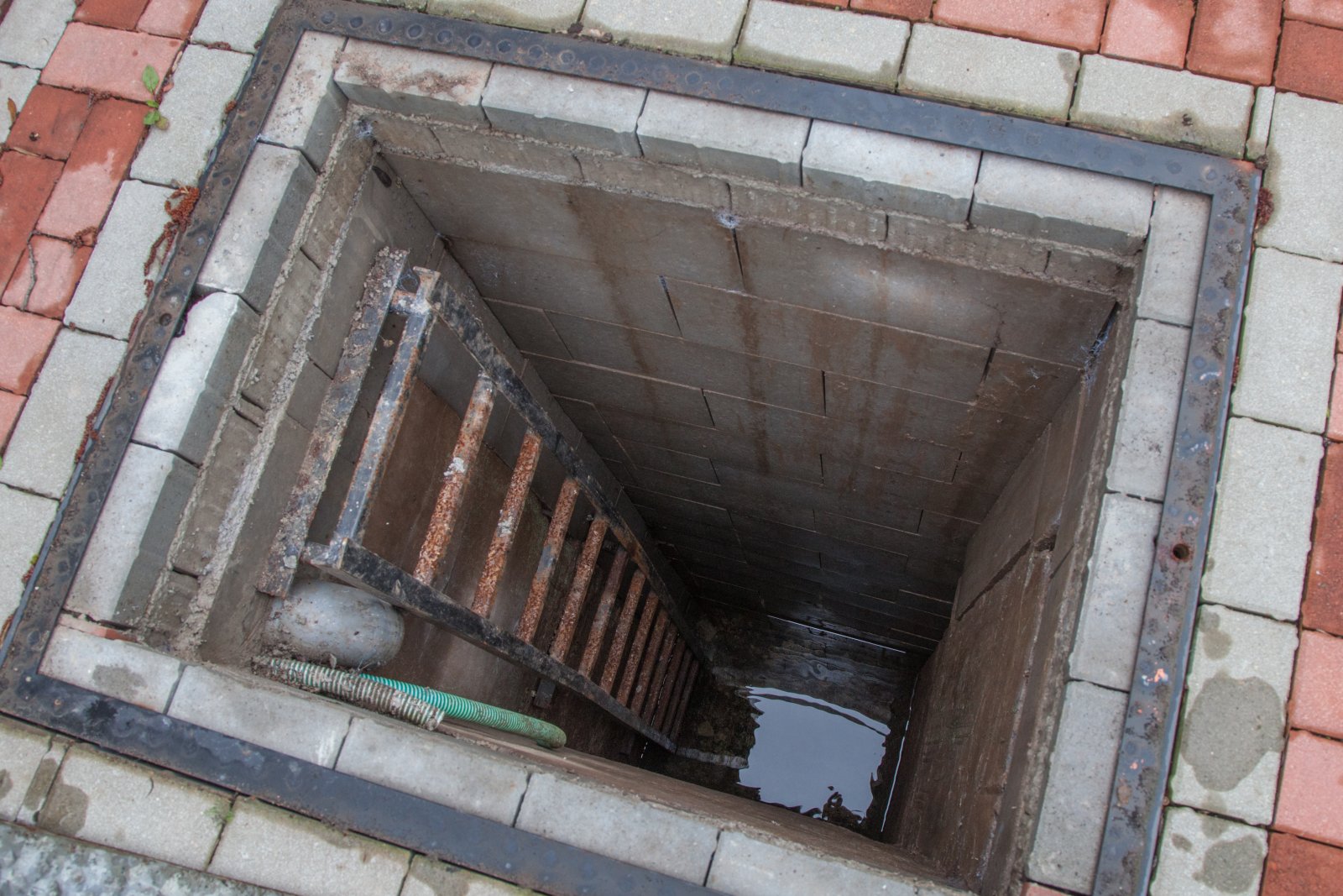 Erfüllen Sie sich den Traum vom Eigenheim in Bodenwerder! – Bodenwerder – Vorschaubild 19
