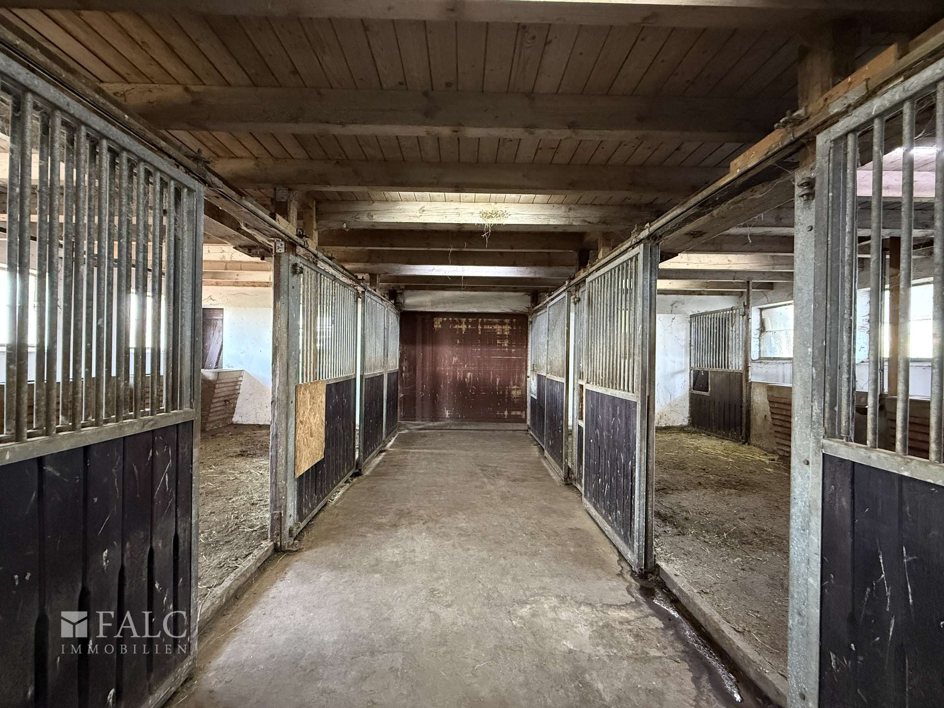 ***Mehrfamilienhaus & Exklusiver Pferdehof mit Reitanlage auf ca 21.000 m² Grundstück*** – Einbeck – Vorschaubild 23
