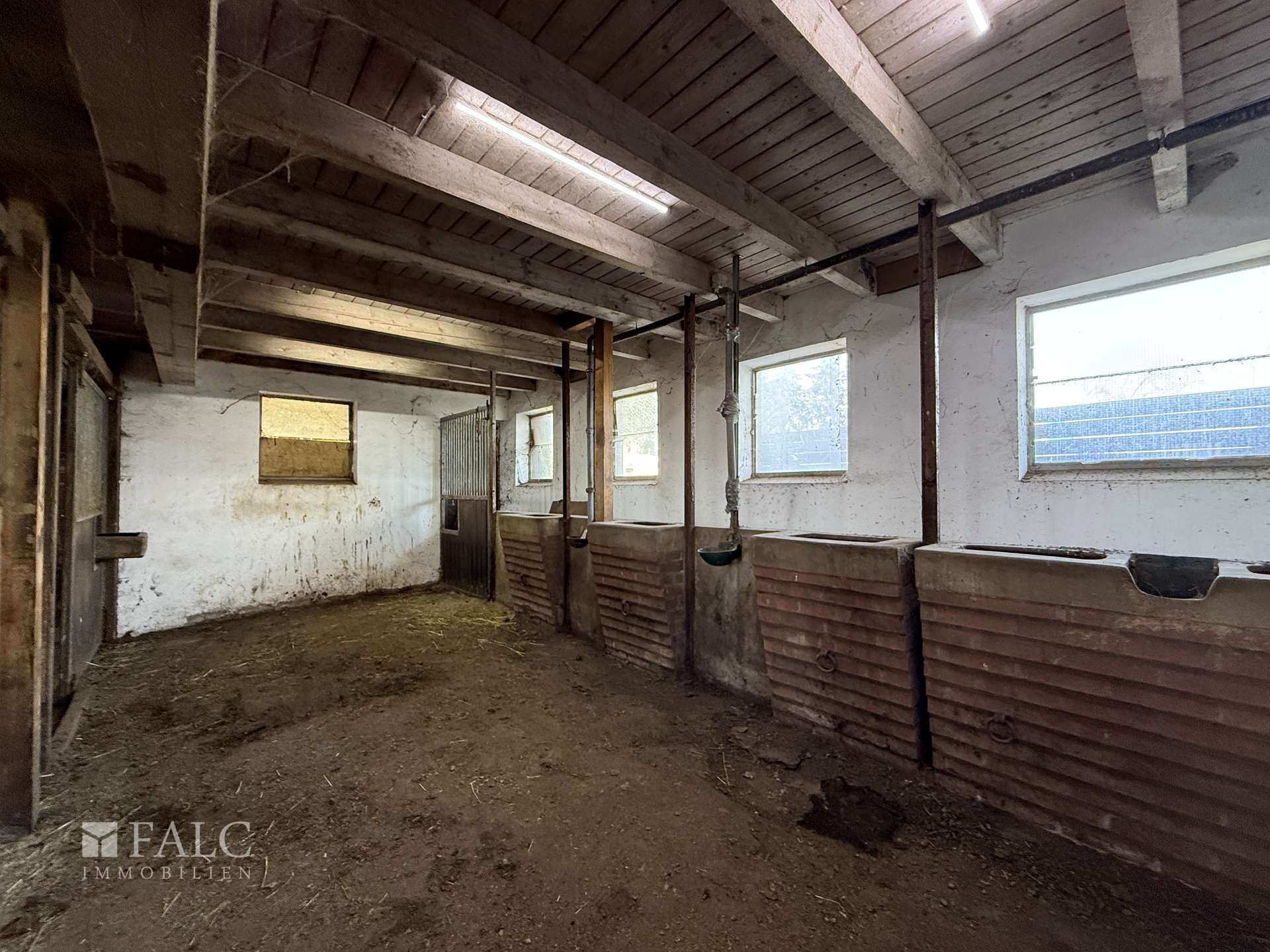***Mehrfamilienhaus & Exklusiver Pferdehof mit Reitanlage auf ca 21.000 m² Grundstück*** – Einbeck – Vorschaubild 24