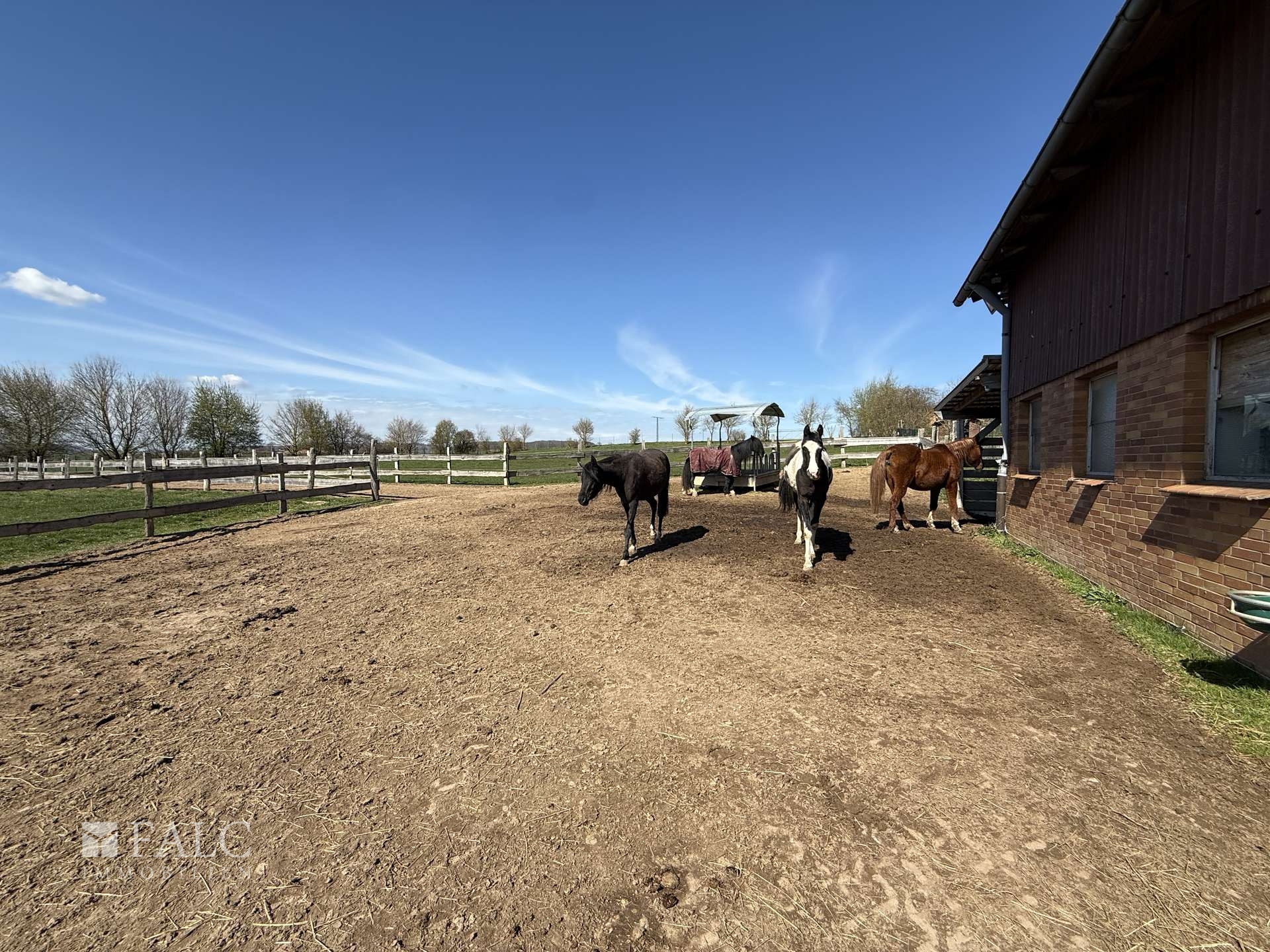 ***Mehrfamilienhaus & Exklusiver Pferdehof mit Reitanlage auf ca 21.000 m² Grundstück*** – Einbeck – Vorschaubild 25
