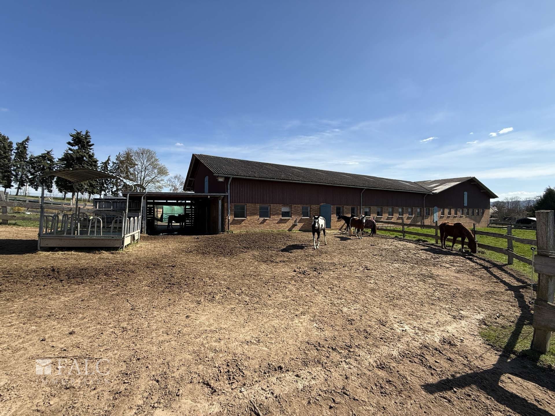 ***Mehrfamilienhaus & Exklusiver Pferdehof mit Reitanlage auf ca 21.000 m² Grundstück*** – Einbeck – Vorschaubild 26