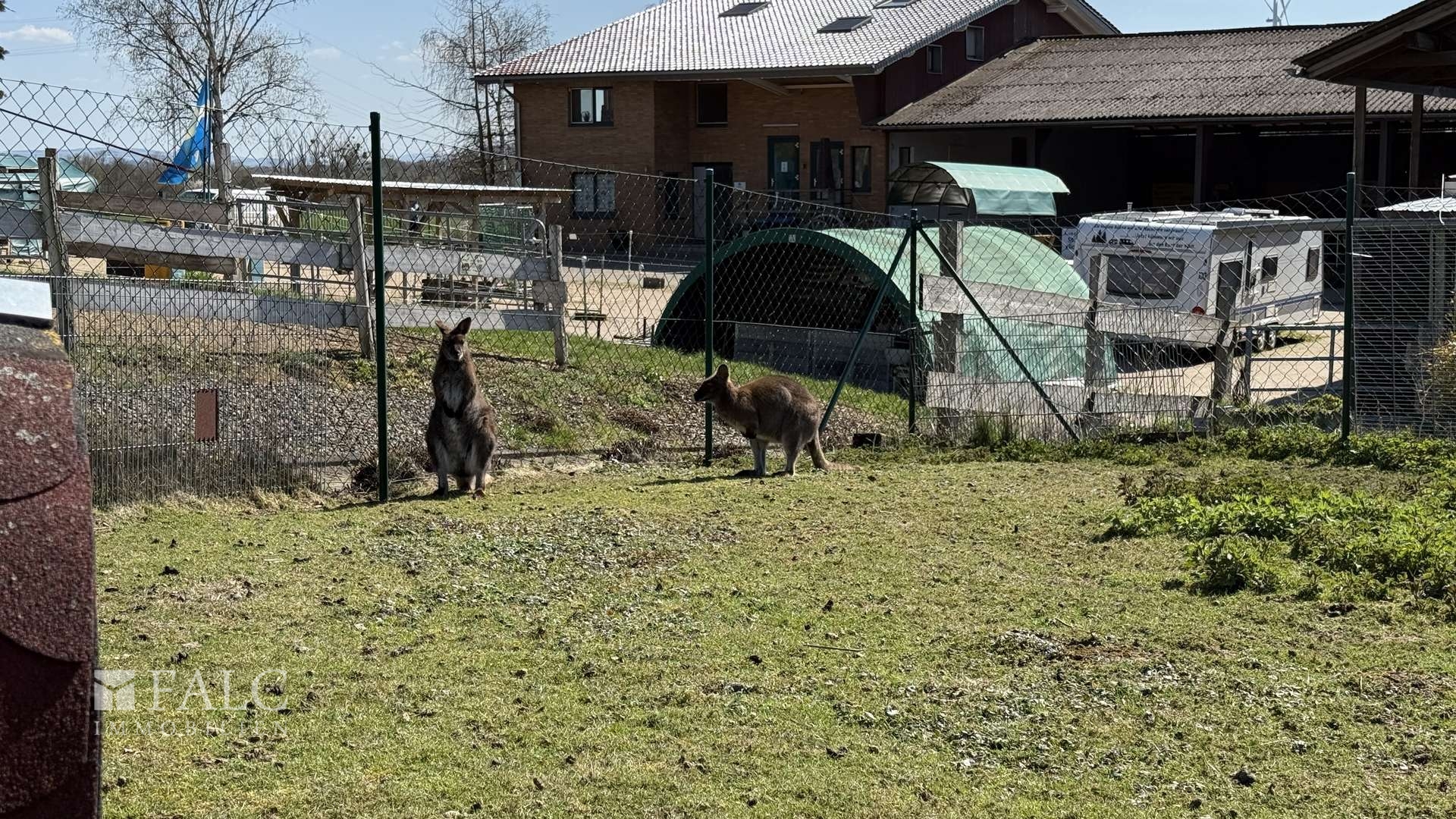 ***Mehrfamilienhaus & Exklusiver Pferdehof mit Reitanlage auf ca 21.000 m² Grundstück*** – Einbeck – Vorschaubild 31