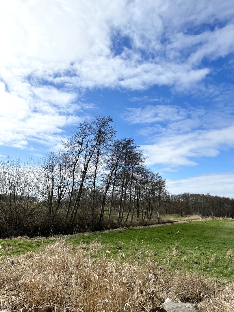 RÜGEN Ferienanlage mit 4 separaten Einheiten – Neuenkirchen – Vorschaubild 13