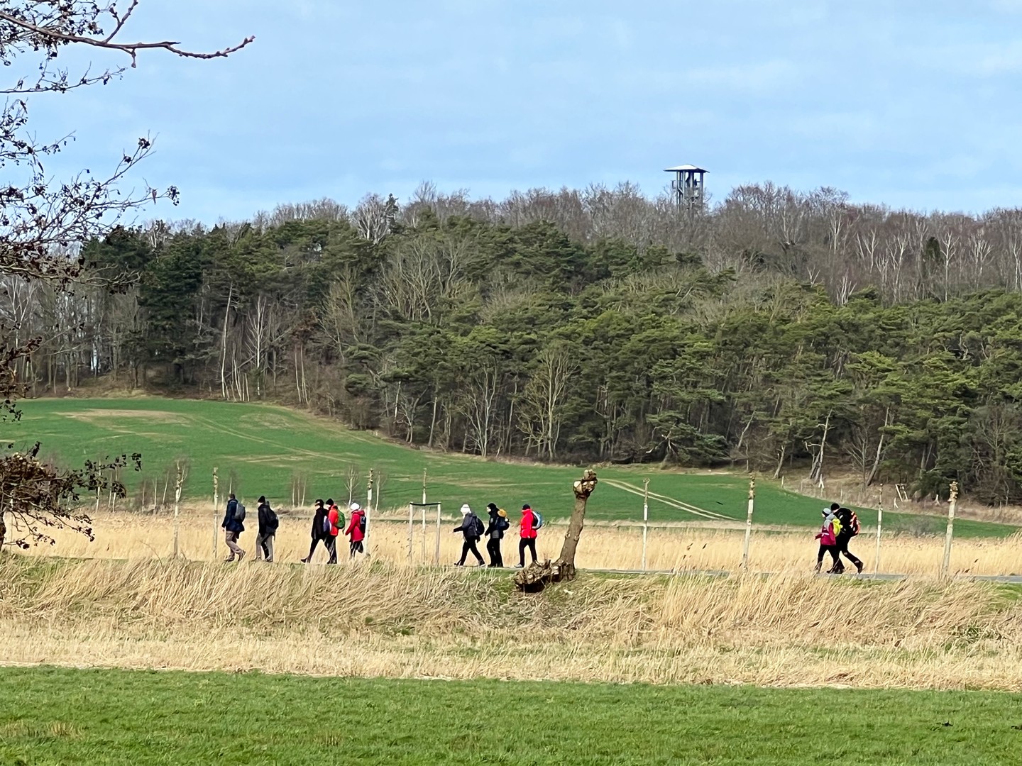 RÜGEN Ferienanlage mit 4 separaten Einheiten – Neuenkirchen – Vorschaubild 26