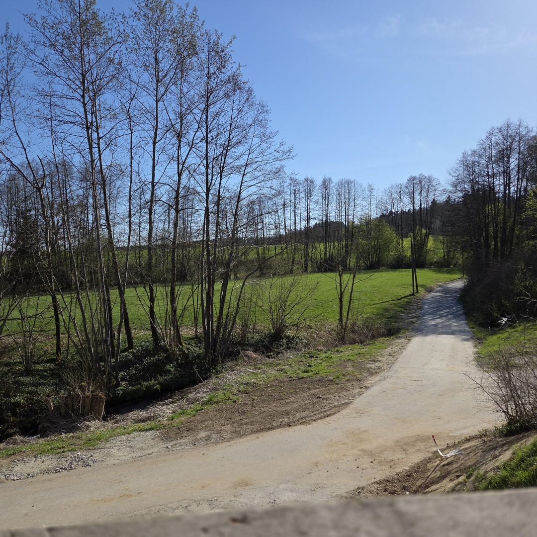 Freistehendes Einfamilienhaus in sehr ruhiger Dorfrandlage – Auerbach – Vorschaubild 6