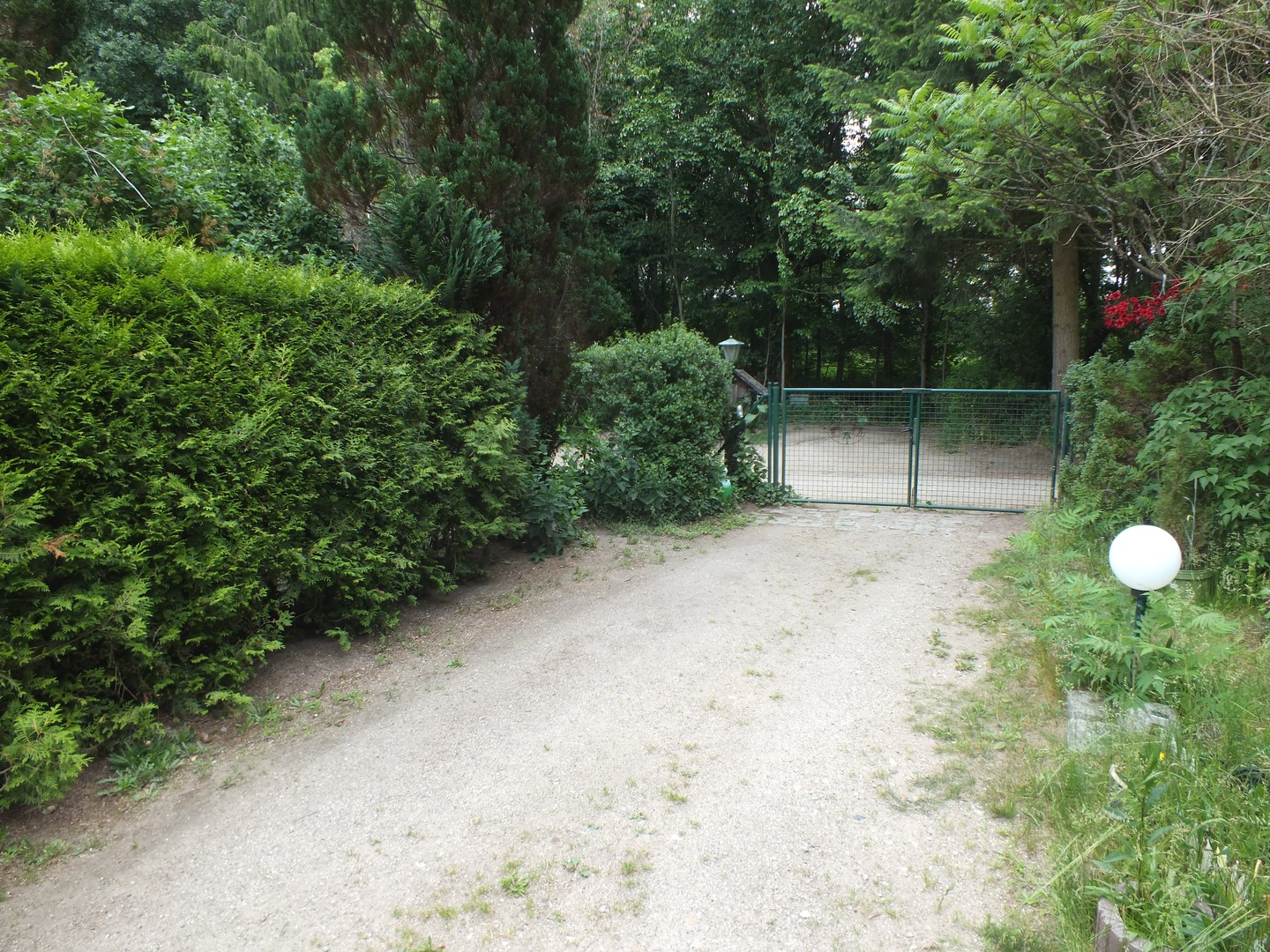 Provisionsfrei - Doppelhaushälfte in Waldnähe – Milmersdorf – Vorschaubild 4