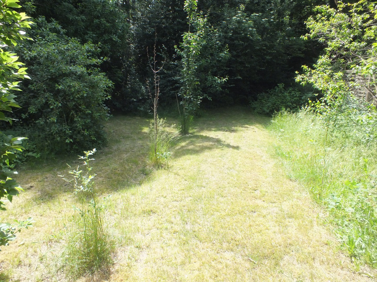 Provisionsfrei - Doppelhaushälfte in Waldnähe – Milmersdorf – Vorschaubild 38
