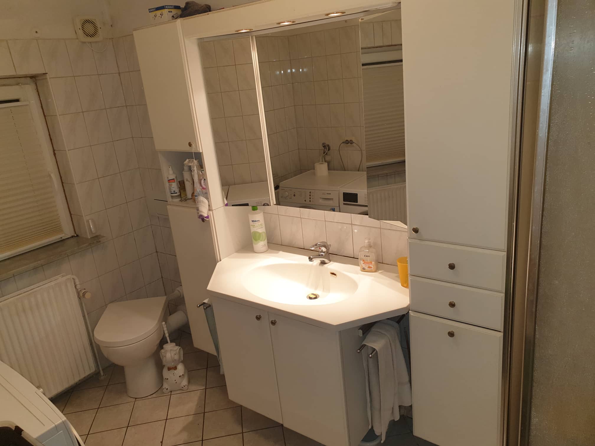 Resthof mit 2 Wohnungen in Alleinlage – Dörpum – Vorschaubild 8