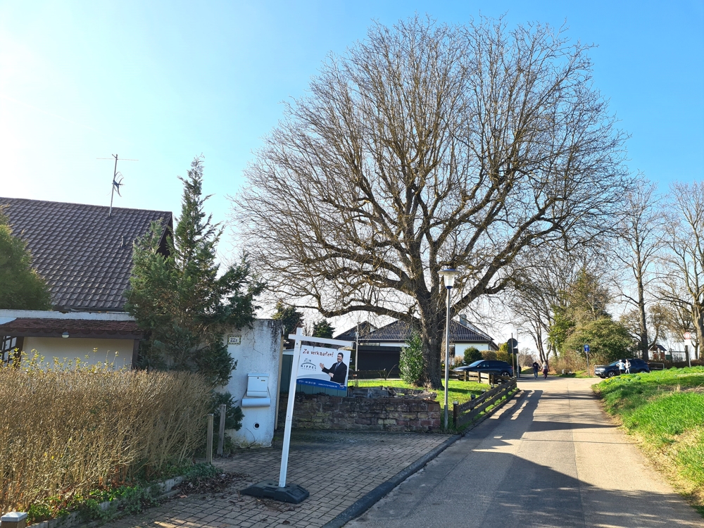 DOPPELHAUSHÄLFTE IN AUßERGEWÖHNLICHER RANDLAGE – Karlsruhe / Palmbach – Vorschaubild 4