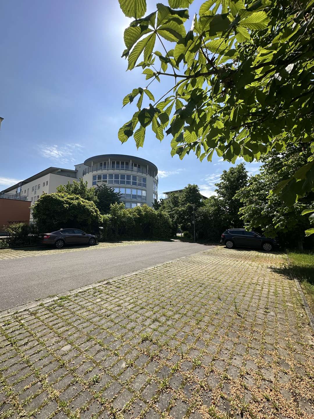 bg