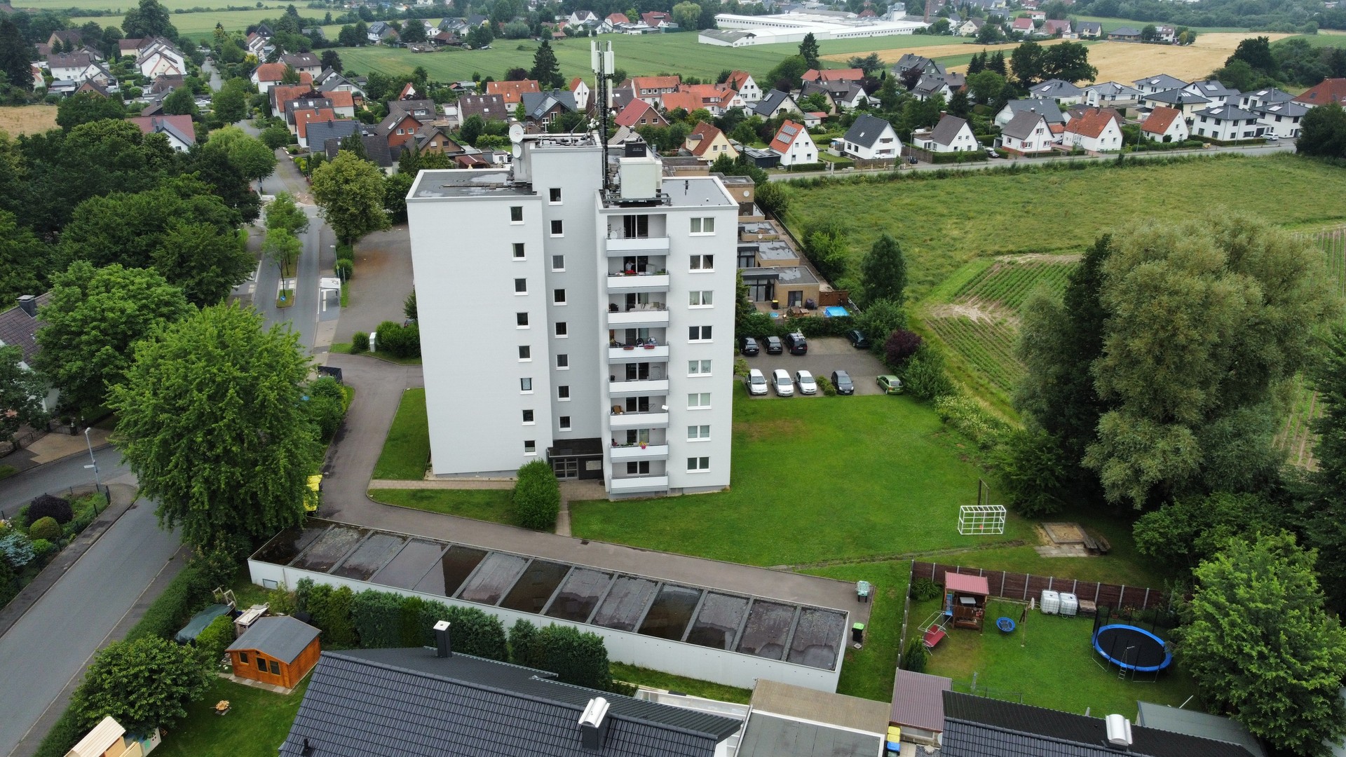bg