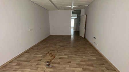 bg