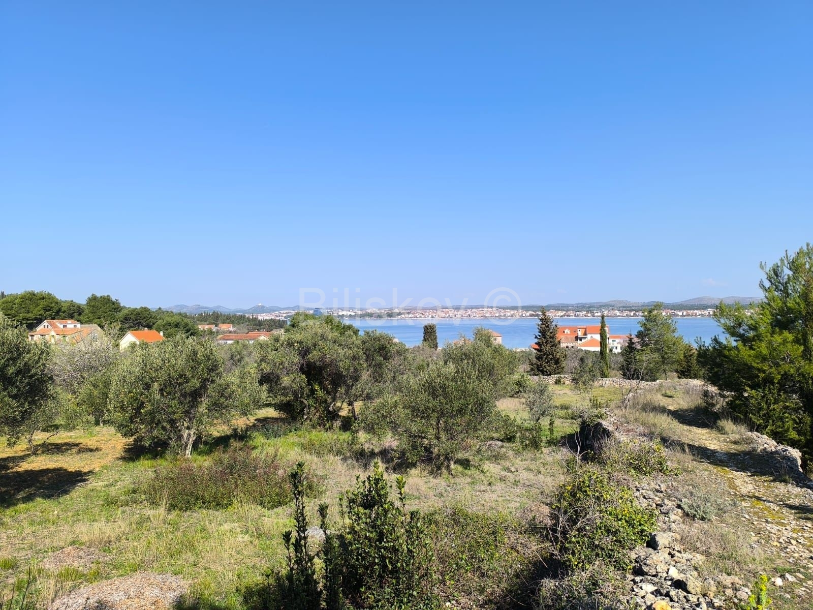 bg