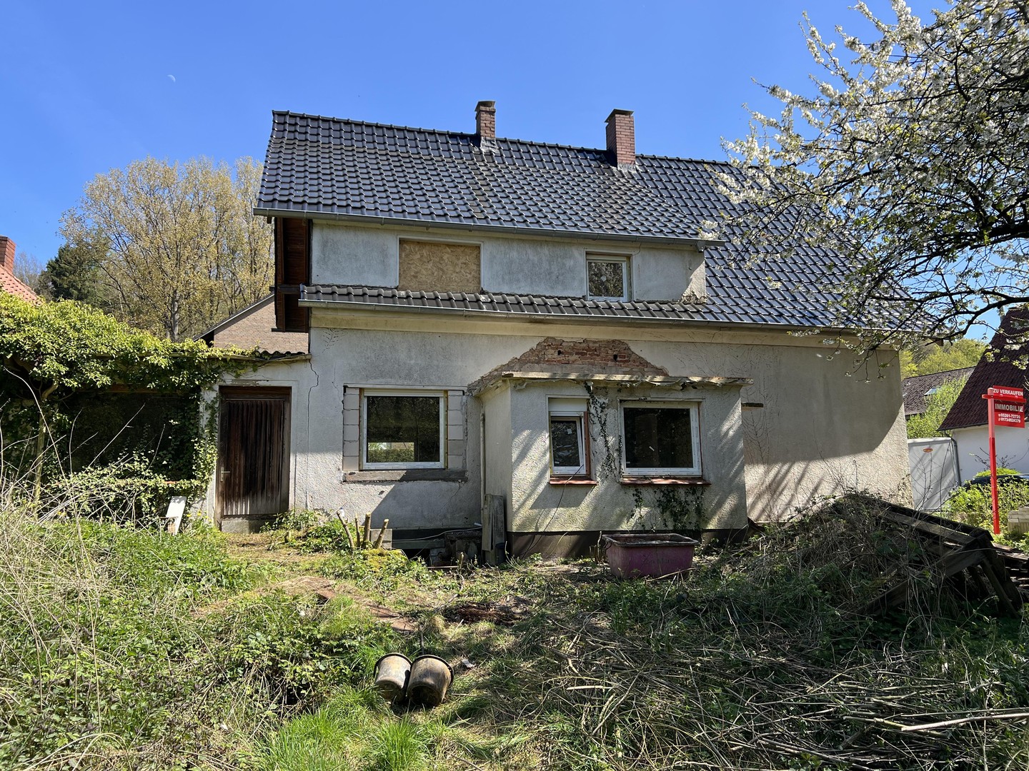 bg