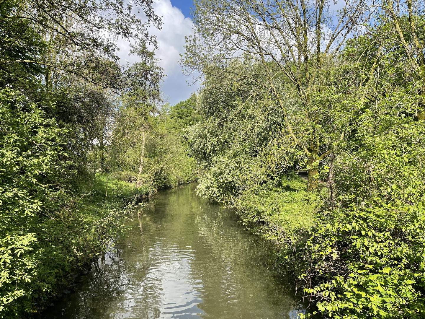 Klein. Fein. Weitblick. Ihr 50-qm-Hideaway im Zooviertel – Düsseldorf – Vorschaubild 20