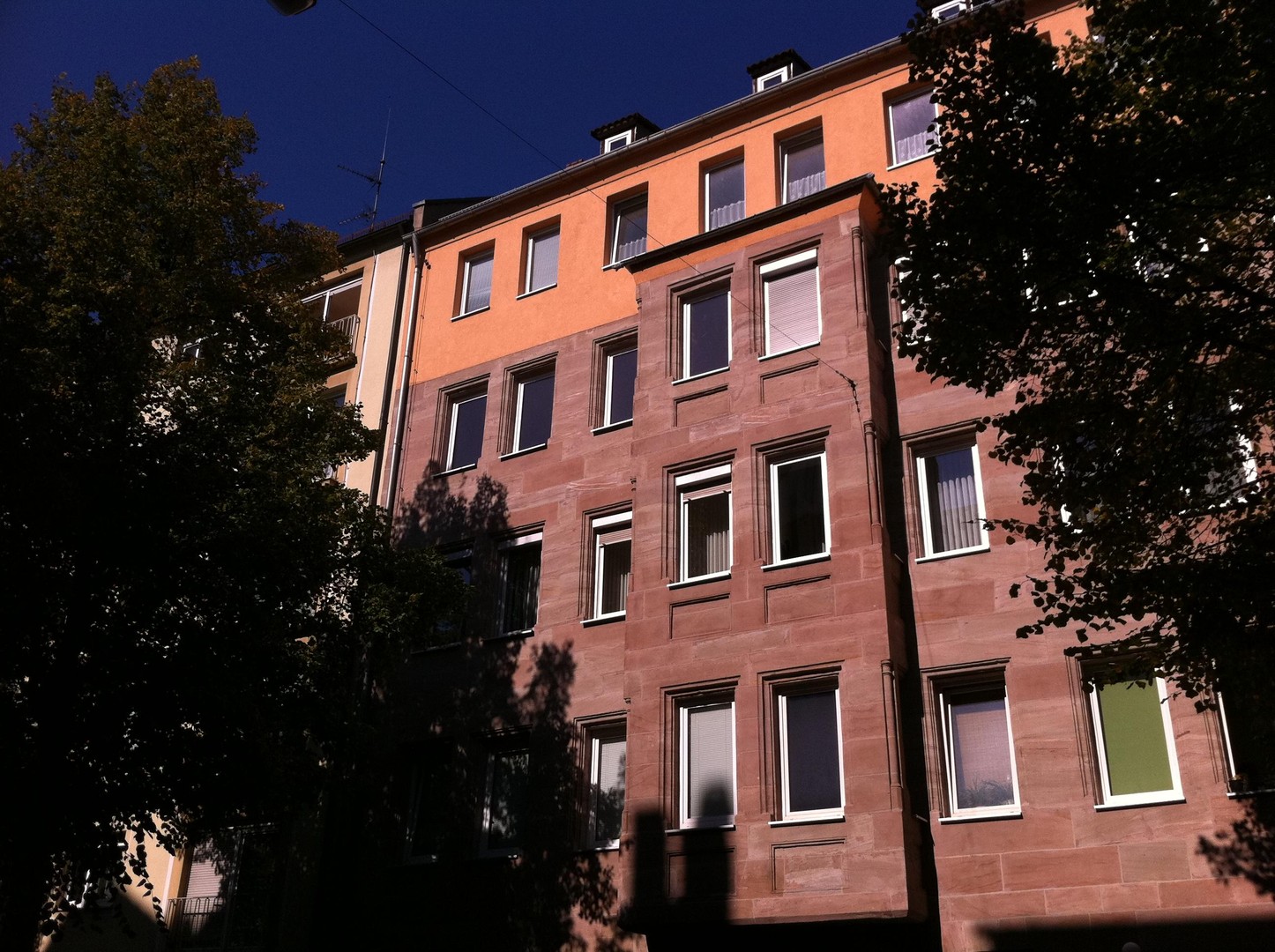 bg