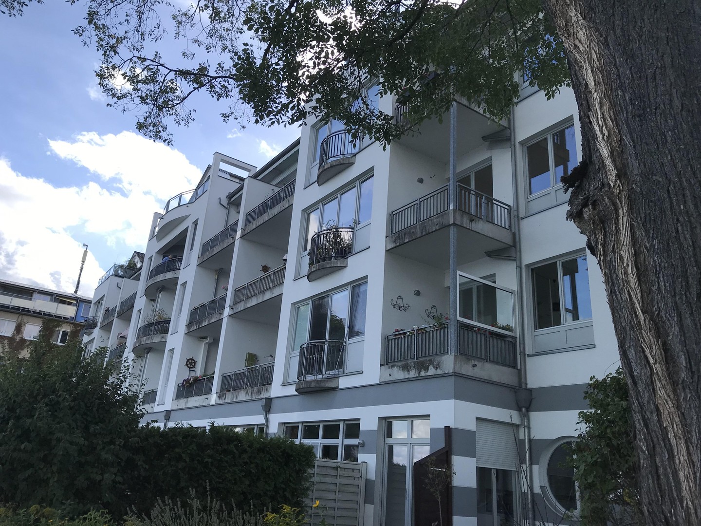 Seeblick • Große Fenster • Balkon zum Wasser – Potsdam – Vorschaubild 8