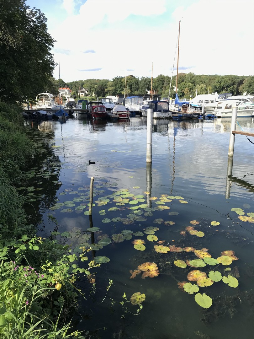 Seeblick • Große Fenster • Balkon zum Wasser – Potsdam – Vorschaubild 22