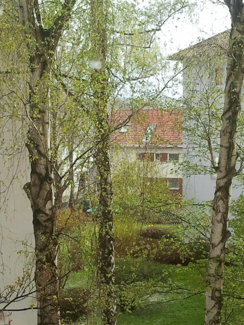 Degerloch-Haigst - Sonnige 2,5-Zimmer-Wohnung mit Balkon & Weitblick – Stuttgart – Vorschaubild 7
