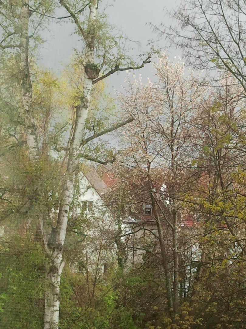 Degerloch-Haigst - Sonnige 2,5-Zimmer-Wohnung mit Balkon & Weitblick – Stuttgart – Vorschaubild 8