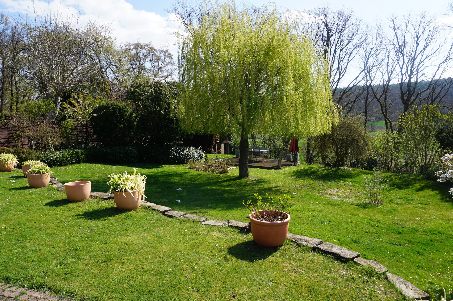 Wunderbares Einfamilienhaus im Landhausstil. Keine Käuferprovision! – Guxhagen / Büchenwerra – Vorschaubild 22