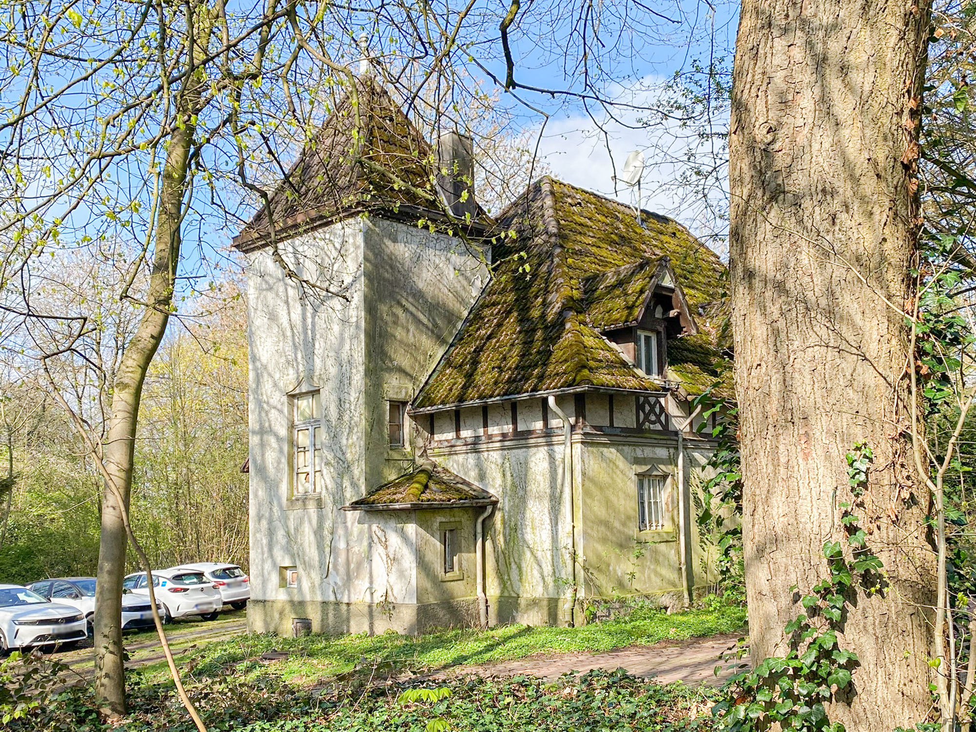 bg