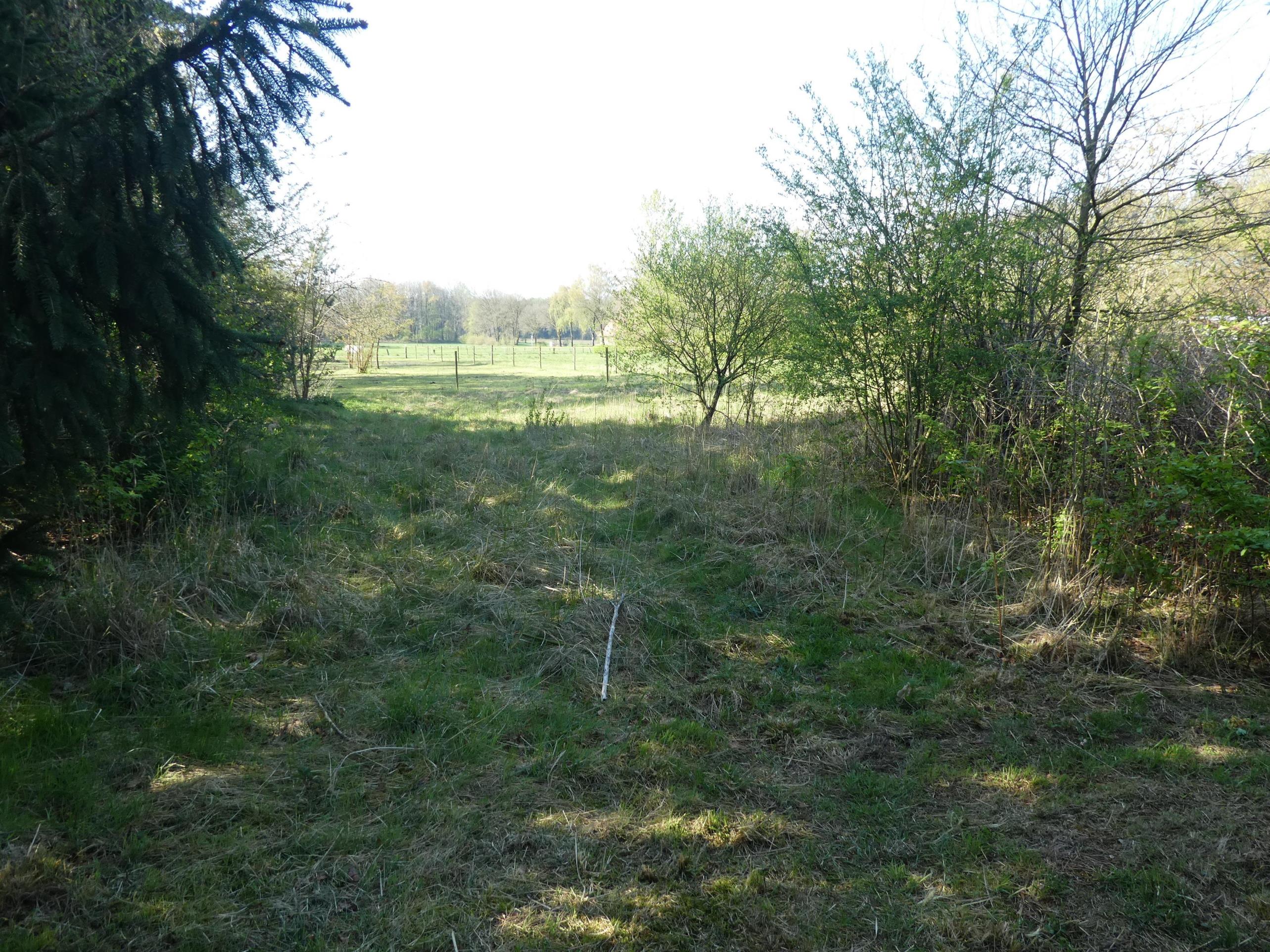 Doppelhaushälfte mit großem Garten – Uelsen – Vorschaubild 8