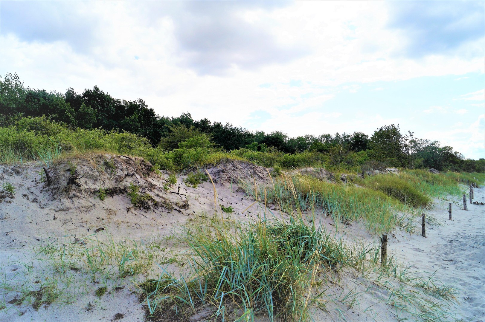 Großes Ostsee-Ferienhaus im idyllischen Barendorf (ohne Makler) – Dassow OT Barendorf – Vorschaubild 10