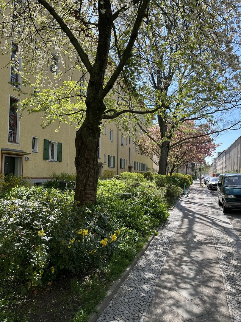 Gelegenheit: Bezugsfreie Wohnung in bevorzugter Lage ruhig und dennoch zentral gelegen – Berlin – Vorschaubild 3