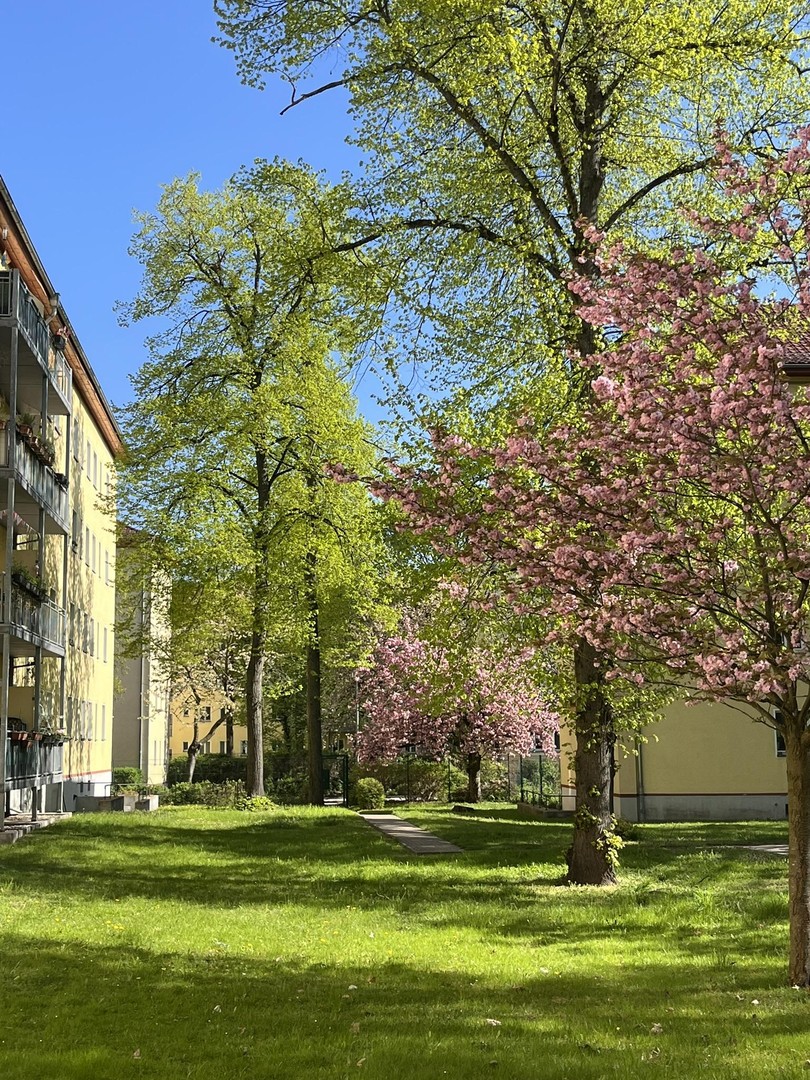Gelegenheit: Bezugsfreie Wohnung in bevorzugter Lage ruhig und dennoch zentral gelegen – Berlin – Vorschaubild 17