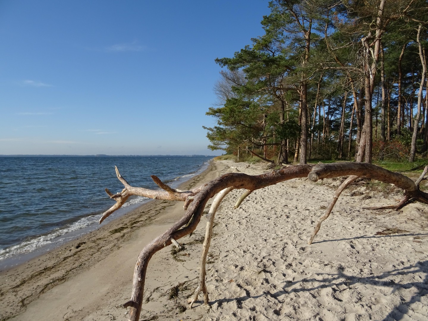 Doppelhaushälfte auf der Insel Rügen zu verkaufen – Garz/Rügen, Losentitz – Vorschaubild 14