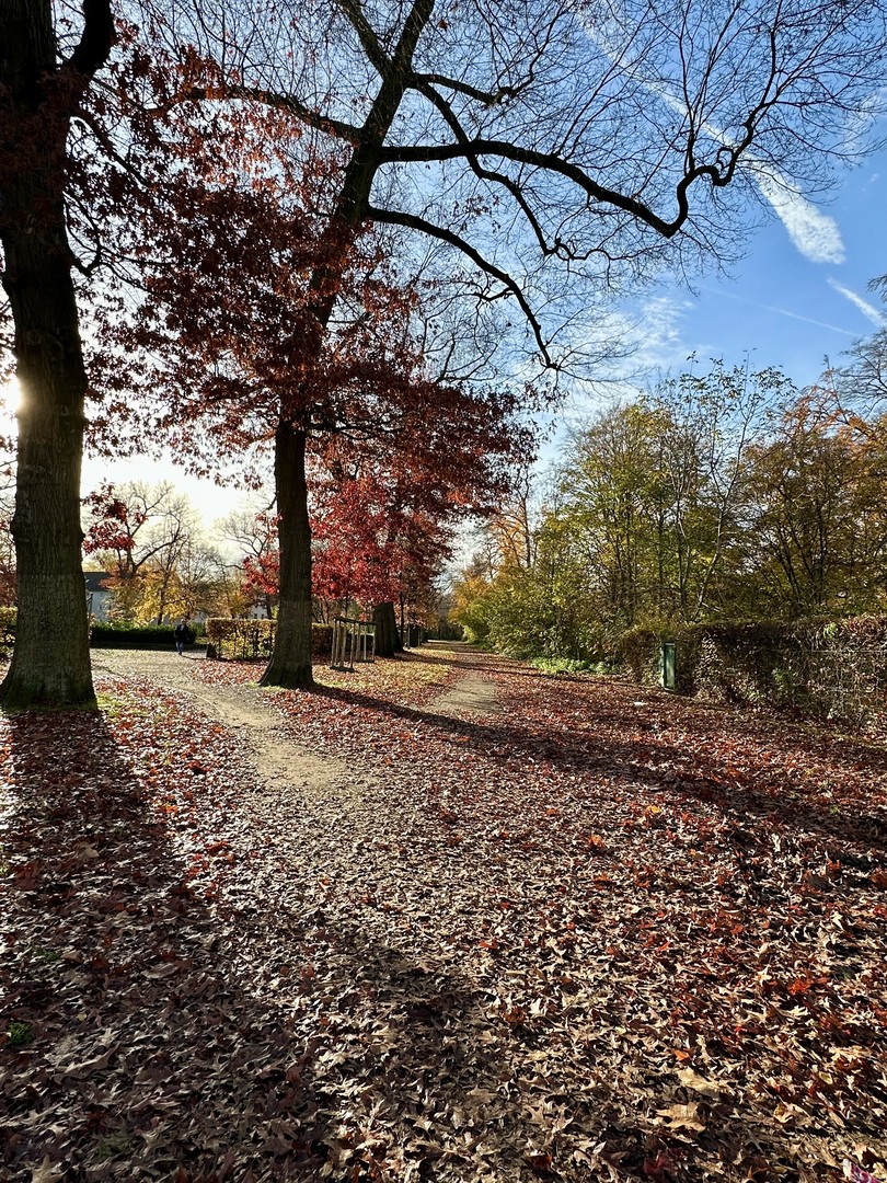 Bezugsfreie 3 Zimmerwohnung mit großer Süd-Terrasse und Garten – Düsseldorf – Vorschaubild 16