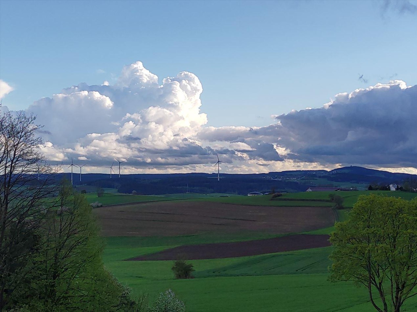 bg